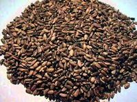 Milk Thistle Seeds - Our Best Whole Organic Silybum Marianum (4 oz (1/4 lb))