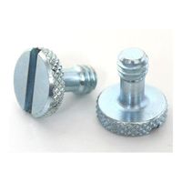 Manfrotto 2-Pack Replacement Screws (Set of 2-Viti 1/4") for QR Plate 501PL and 410PL