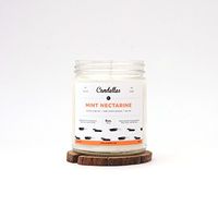 Mint Nectarine 9oz. Soy Wax Candle