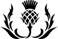 Crazydecals Scottish Thistle Flower Vinyl Decal Sticker- 6" Wide Gloss White Color