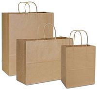 Deluxe Small Business Sales 15-100-8 3 Assorted Sizes Paper Shoppers44; Kraft