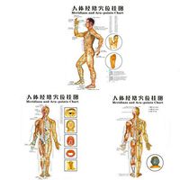 3 Poster Charts -Acupuncture Human Body Charts Meridians and Acupuncture Points