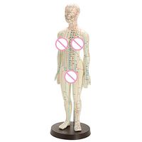 50cm Women Medical Chinese Medicine Meridians Acupuncture Moxibustion Model Acupuncture Point Mannequin Acupuncture Model