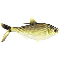 13 Fishing BAMF Shad BAMF Shad Gold Retriever
