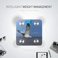 Common Gull Flying Above River Scales for Weight Best Rated Bathroom Scales Smart Weigh Scale Tracks 8 Key Compositions Analyzer Sync with Fitness Apps 400 Lbs