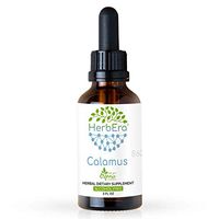 Calamus B60 Alcohol-Free Herbal Extract Tincture, Organic Calamus (Acorus Calamus) Dried Root (2 fl oz)