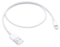 Apple Lightning to USB Cable (0.5 m)