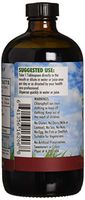 L A NATURALS Chlorophyll 100mg withspearmint, 0.02 Pound