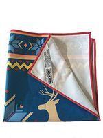Norwex Limited Edition Window Cloth with BacLock - Nordic Print
