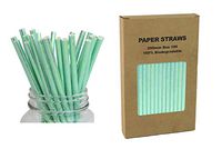 Iridescent Green Paper Straws - Box of 100 Biodegradable Candy Apple Sticks, Swizzle Sticks, Lollipop Sticks