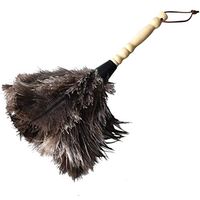 ZHANGY Computer Devices Telephone Kitchen Cleaning Brush,Feather Cleaning Duster Computer Screens, Keyboards, Plant Leaves, dashboards,Ostrich Feather