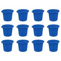 STERILITE 11231C12 Pail, Blue Morpho