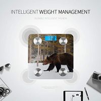 Brown Bear Walking in The Snow Most Accurate Bathroom Scales Scales for Body Weight Scales Tracks 8 Key Compositions Analyzer Sync with Fitness Apps 400 Lbs
