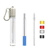 Hokeea Reusable Straw with Transparent Slim Case,Silicone Tip and Keychain,Portable Folding Stainless Steel Drinking Straws,Collapsible Metal Travel Straw(Silver)