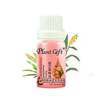 Plant Gift Sweet Orange Essential Oil 100% Pure Undiluted Therapeutic Grade Citrus Sinensis, Cold Pressed from Fresh Orange Peel, Great for Aromatherapy Diffuser, Relaxation and Calming10 ML (0.35oz).