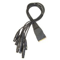 Planet Waves Modular Snake XLR Female Breakout