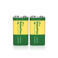 Deleepow 9V Lithium Battery 600mAh High Capacity Rechargeable 9V Batteries with Long Lasting Service Time, 2 Packs