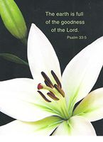 Religious Set of 8 Blank Notecards ~ The Earth is Full of The Goodness of The Lord (Psalm 33:5 with White Lily; 4" x 5.25"; White Envelopes)