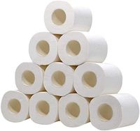 10 Rolls Toilet Paper, 140g or 4.93oz/Roll 3-Ply White Silky & Smooth Soft Professional Series Premium Home Kitchen Toilet Tissue, Soft, Strong and Highly Absorbent Hand Towels for Daily Use