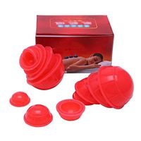 Cupping Set Fire Cupping Jars Set, Body Massage Muscle Joint Pain Soreness Relief (Color : Red)
