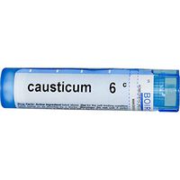 Boiron, Single Remedies Causticum, 6C, Approx 80 Pellets