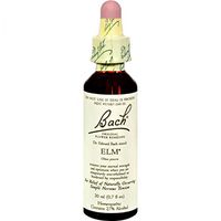 BACH FLOWER ESSENCES Flower Essence Elm 20 ML by Bach