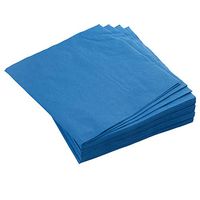 Exquisite 50 Pack of Beverage Paper Napkins The 2 Ply Party Napkins are Highly Absorbent of Vibrant Colors - Light Blue Napkins