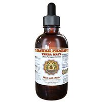 Yerba Mate (Ilex Paraguariensis) Liquid Extract 4 oz