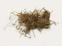 糯稻根 | Glutinous Rice Root