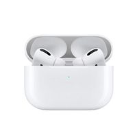 Libobo Dust Guard Metal Protective Sticker Compatible with AirPods Pro Bluetooth Earphones (Silver)