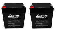 Power King Set of 2 Razor E175 12 Volt 5 AmpH SLA Replacement Scooter Batteries