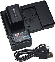 DSTE Replacement for 2X NP-FV70 Battery + Rapid Dual Charger with Micro USB Cable Compatible Sony FDR-AX40 DCR-SR21 SX83E FDR-AX100 HDR-CX380 CX430V HC9 PJ790V TD10 XR160 XR260V as NP-FH70