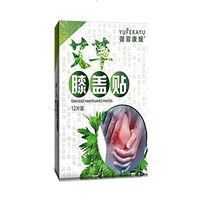 RZJZGZ 12pcs/Box Knee Pain Relief Patch Hot Moxibustion Plaster Leg Pain Relief Wormwood Sticker