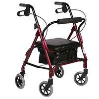 Lightweight Folding Four Wheel Rollator Walker with Padded Seat, Lockable Brakes, Ergonomic Handles, and Carry Bag, Limited Mobility Aid
