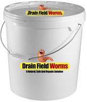 Septic Tank Maintenance
