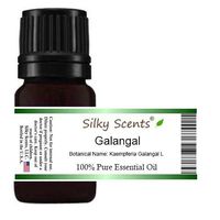 Galangal Essential Oil (Kaempferia Galangal L) 100% Pure Therapeutic Grade - 5 ML