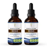 Reishi Tincture Alcohol-Free Liquid Extract, Organic Reishi Mushroom (Ganoderma Lucidum) (2x4 FL OZ)
