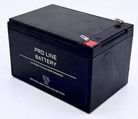 PRO12120-F2 Rechargeable Sealed Lead Acid 12 Volt 12 Amp Hour Battery with .250 inch F2 Terminals by Pro Line Battery