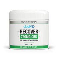 750 mg Organic Recovery Cream Pain Relief Lotion Arnica Msm B6 Joint Pain Muscle Aches Arthritis Inflammation Skin Support U.S. Grown Hemp