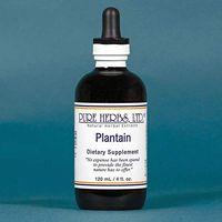 Pure Herbs, Ltd. Plantain (4 oz.)