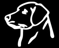 Home Grown Claremore Labrador Retriever - Vinyl Decal Sticker - 5.5" Width X 5" Height | White HGC1043