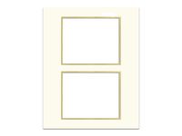 PA Framing, Double Specialty Mat, 2 Rectangular Opening, 16 x 20 Inches Frame - Cream Core/Ivory Upper and Matte Metallic Gold Inner Mat