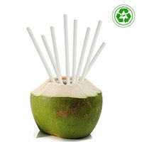 White Strong Paper Drinking Straws-100 Pack Disposable 100% Biodegradable and Eco Friendly Durable and Perfect for Your Kids and Adult Parties Safe and Not Harmful to The Environment