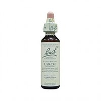 Dr Bach Larch Bach Flower Remedy 10ml