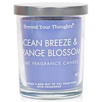 Beyond Your Thoughts Scented Candle Aromatherapy Wax Mixed Popular Long Lasting Ocean Breeze&Orangeblossom Fragrances Blue 8oz