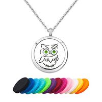 JewelryJo Owl Aromatherapy Essential Oil Diffuser Necklace Locket Pendant for Women Men with Refill Pads