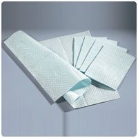 Professional Towels/Bibs - 500/case