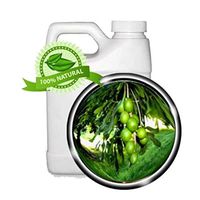 Macadamia Nut Oil Oil - 32 oz - Virgin, Cold-pressed