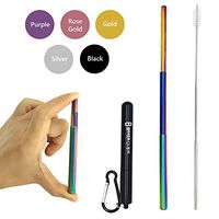 Bestie Online Reusable Collapsible Straw with Metal Case, Cleaning Brush & Hook (Black Color with Rainbow Straw)