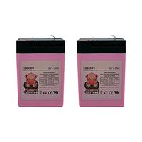 Charity Battery 6 Volt 6V 4.5AH Rechargeable Deer Game Feeder Batteries - 2 Pack